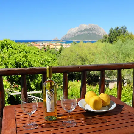 Dalia 14 - Vista Village By Interhome * Porto San Paolo (Sardinia)